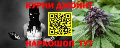 jwh Кингисепп
