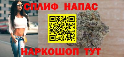 jwh Кингисепп