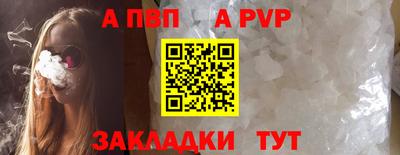 jwh Кингисепп
