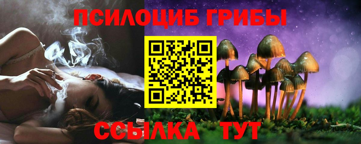 Псилоцибиновые грибы Psilocybe Коммунар