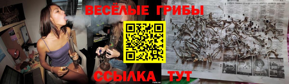 где можно купить   Псилоцибиновые грибы мухоморы  Вход с VPN  Коммунар  Галлюциногенные грибы прущие грибы 