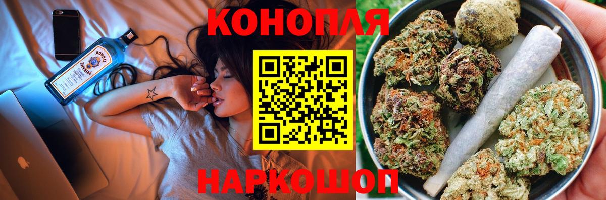 Конопля планчик Коммунар